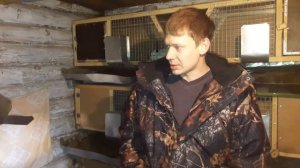 Калифорнийские кролики и ГОРОХ!!!//Вес гибридов//Про кастацию кроликов?