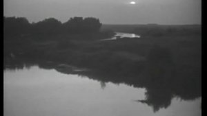 Болезни и вредители пчел. Часть 2 из 2.