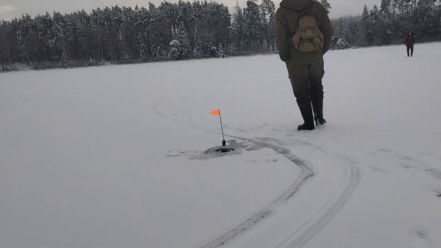 Потрощили бампер Аudi A6.Зимова риболовля, екстремальні умови. Залишили автомобіль серед лісу.