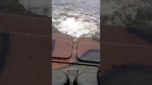 Рыбалка в ДНР