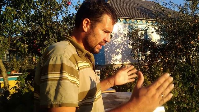 Как выбрать породу пчел. Линии пчел нужно перебирать пока не найдется Ваша пчела смотреть онлайн