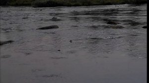 Озеро Танцующих Хариусов (озеро Джека Лондона)