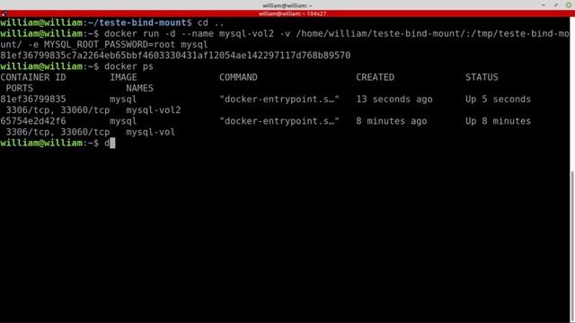O que são Bind Mounts em Docker? смотреть онлайн
