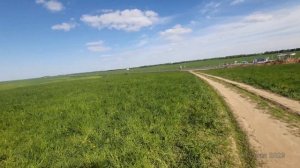 Памятник зубру на трассе Брест - Минск