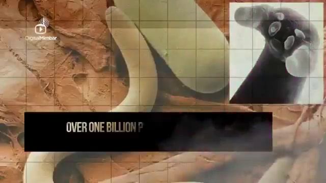 Вот почему мясо свинина не едят мусульмане смотреть онлайн