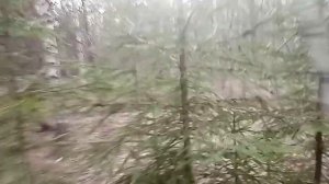 Поиск рогов + Поиск и Коп металлома.......