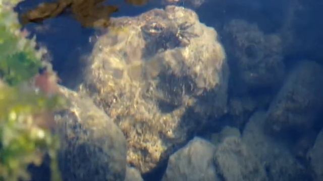 Крабики, Орджоникидзе, Крым смотреть онлайн