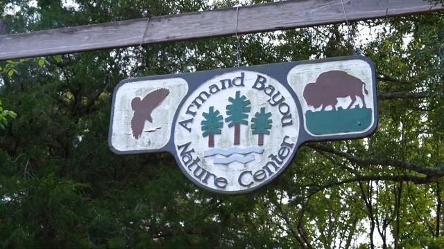 delayed departure: ENGINE BREAKDOWN смотреть онлайн