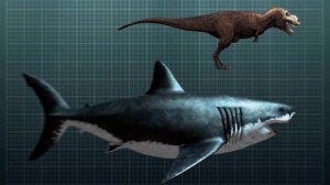 10 Ужасных Вымерших Животных и Вы Будете Счастливы, что Они Вымерли