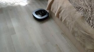 Робот пылесос LG VRF4041LS