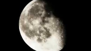 Lesiem - Fundamentum [11 min. Full Track]