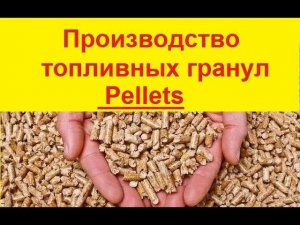 Как производят древесные топливные гранулы Пеллеты