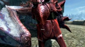 Skyrim Полет на Драконе