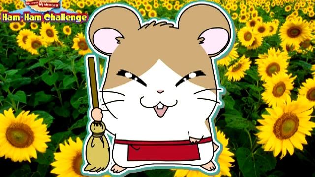 Hi! Hamtaro Ham-Ham Challenge Music: Storekeeper Howdy! смотреть онлайн