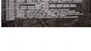 Raspberry Pi: End Kernel panic - not syncing: Attempted to kill init