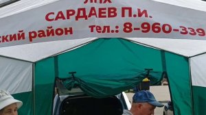 Репортаж с саранской медовой ярмарки