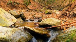 Пятничная хутба_ Мухаммад Абу Усама.