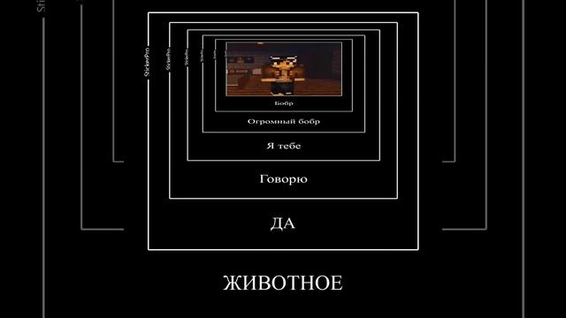 -Бобр,огромный бобр??