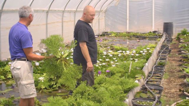 Amazon Floating Fern 2 смотреть онлайн