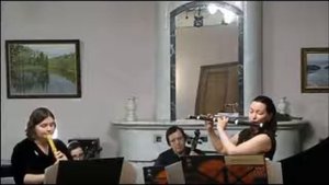 G. Ph.Теlemann Concerto for Traverso and Recorder e-moll TWV 52e1