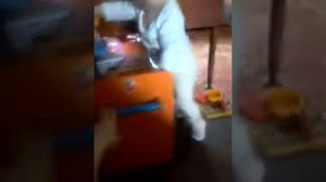 Ребёнок ругается на маму