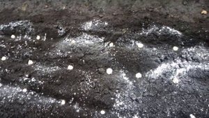 Посадка ЯРОВОГО ЧЕСНОКА под ЗИМУ. Обрабатываю ГРЯДКУ ПИЩЕВОЙ СОДОЙ. 30 сентября 2019г.