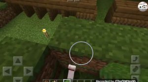 Показываю все породы кошек в Майнкрафт и прячу их от мобов