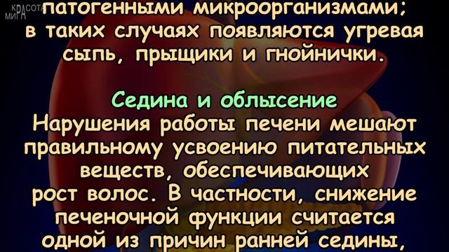 7 ПРИЗНАКОВ того, что ПЕЧЕНЬ перегружена смотреть онлайн