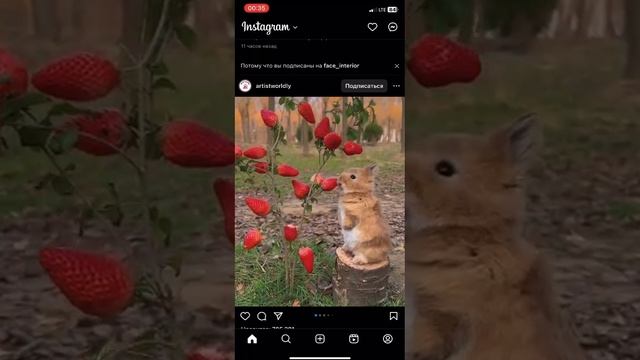 кролик? смотреть онлайн