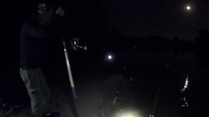 Лещ на фидер ночью, ловил крупных лещей