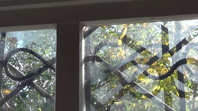 Очистка стекла от краски стамеской смотреть онлайн