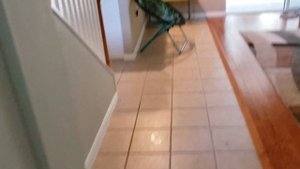 Затопило наш дом. Мой сынок Данила. Влог. Павел Вайс.