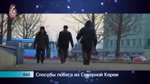 Как Сбежать из Северной Кореи?