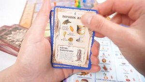 Настольная игра ПРАВИЛЬНЫЕ ИГРЫ Зельеварение. Подарочное издание