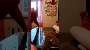 труба на изюбря из бересты