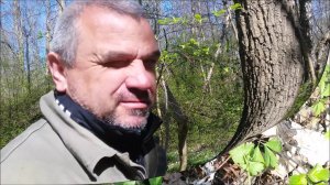 Коп по войне ещё один  день с хабаром. Удачный коп. Garrett 2500