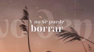 Jose Bello - No Te He Dejado De Amar (Official Lyric Video) | Salsa Romántica