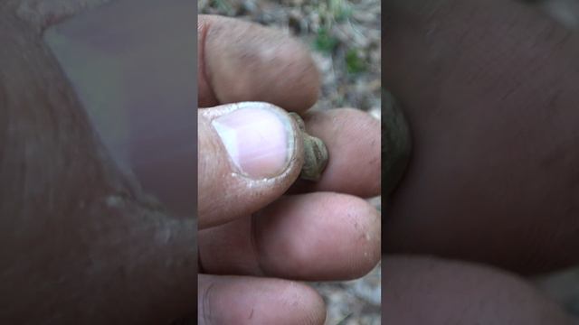 Лесные находки. Очень старая пуговица #короткиеролики #другаяжизнь #metaldetecting #лесныенаходки