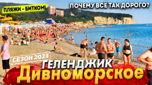#ГЕЛЕНДЖИК - ОТДЫХ В ДИВНОМОРСКОМ! ДИКИЕ ЦЕНЫ НА ВСЁ!  СТОИТ ЛИ СЮДА ЕХАТЬ? ПОКАЗЫВАЮ ВСЮ ПРАВДУ.