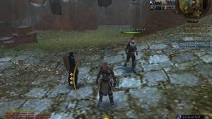 Neverwinter: Companion Bug