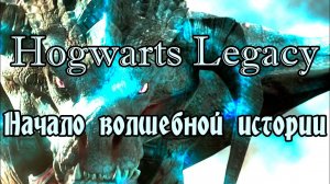 Hogwarts Legacy. И сразу дракон!!!  Прохождение полностью на русском #1