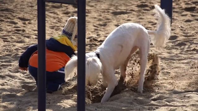 FS700 Camera Test "Plaza Las Lilas" смотреть онлайн