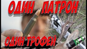 Охота на косулю с манком. Гон у сибирской косули. Roe deer hunting with decoy.  4K Nordik Roe