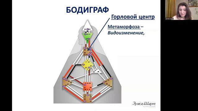 Урок №2  Наше уникальное самовыражение. Дизайн Человека. Human Design