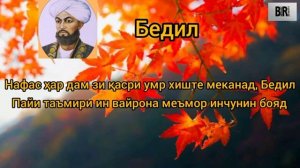 VID_20221119_150838_740.mp4