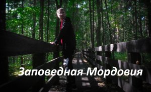 Мордовский заповедник / Mordovia Nature Reserve / MyTravel / МоёПутешествие