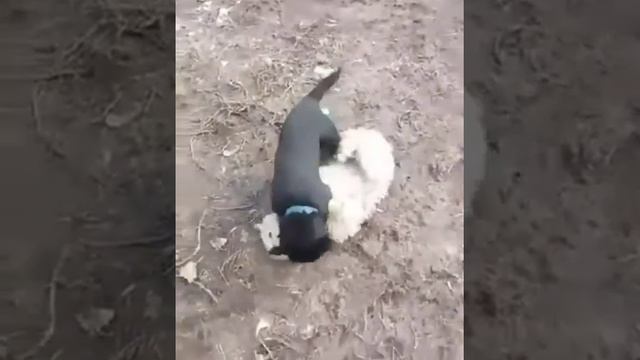 28 июня 2020 г. смотреть онлайн