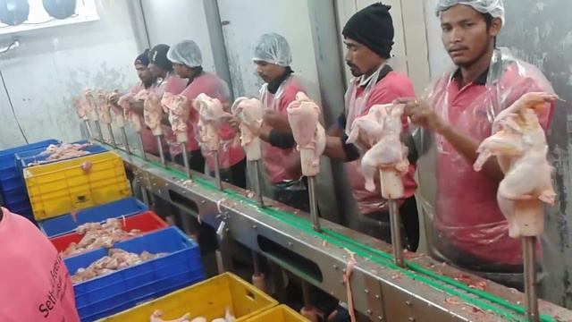 Cone Deboning Conveyor (Boneless) Chicken