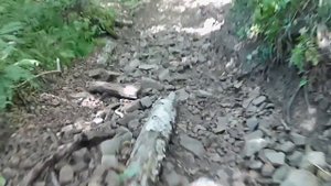 Надежденск 15.09