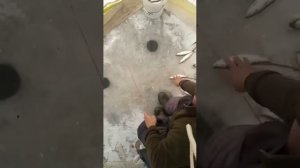 Тавричанка отличный клев | селедка на самодур | Зимняя рыбалка в Приморье